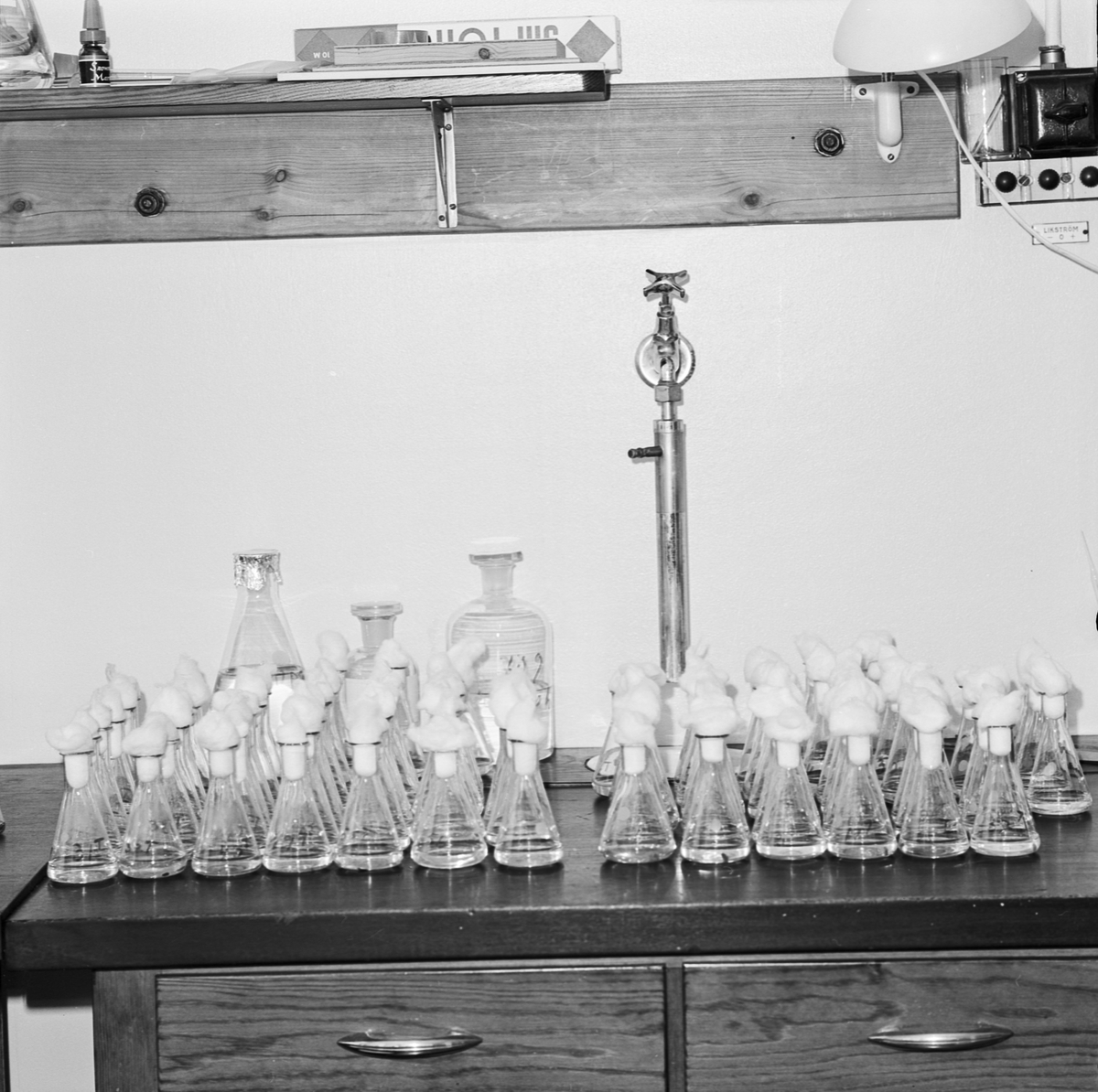Institutionen för fysiologisk botanik, prover, Uppsala 1965