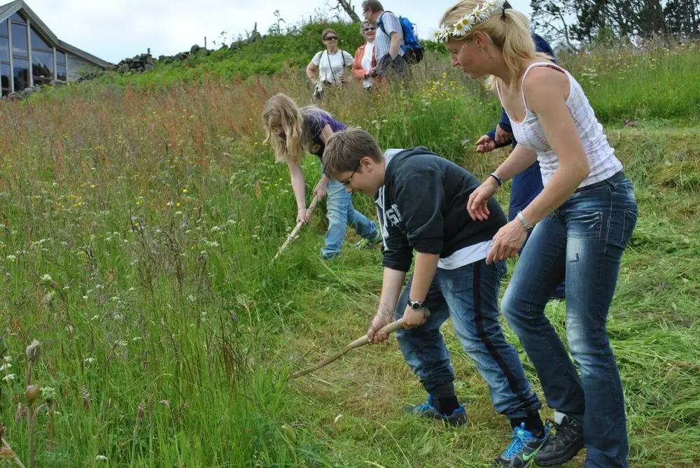 barn slår gras med ljå