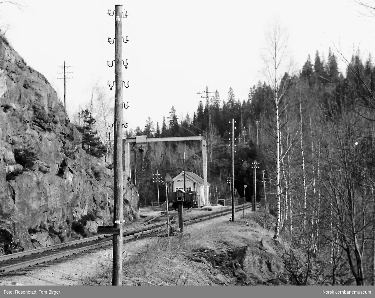 Bøylefossbru stasjon