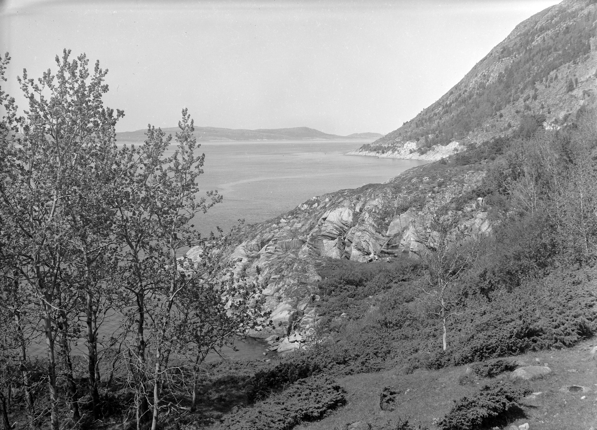 Diverse partier fra Fosenhalvøya