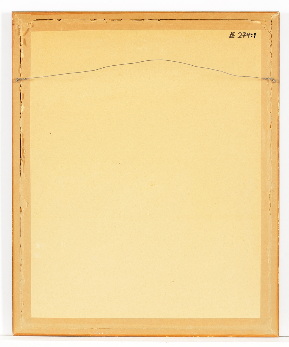 Ett inramat (polykromt) diplom, utfärdat till Carl Edvard Carlson, för tjänst i USA:s armé från 23 juni 1918 till 3 maj 1919, försett med litograferade foton och färgbilder som visar trupper från allierade nationer och militära ledare. Det är en illustration av A. F. Harlow, Del. 1917, tryckt av H. H. Stratton, Chattanooga, Tenn. Är även försedd med en profilerad, delvis bronserad ram.
Diplomet utfärdades efter tjänstgöring i första världskriget. Detta "The Soldier's Record" fungerade som en dekorativ utmärkelse för krigsveteraner och deras familjer, att stolt hänga upp i sina hem. Den innehåller bilder av alla befälhavare i kriget, inklusive general John J. Pershing, befälhavare för arméerna. Soldaten som namnges i denna utmärkelse är Carl Edvard Carlson, och här visas även hans startdatum och slutdatum. Bredvid denna del har hans bild infogats.