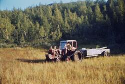 Traktor med belter frakter tømmer med henger over myrlandska