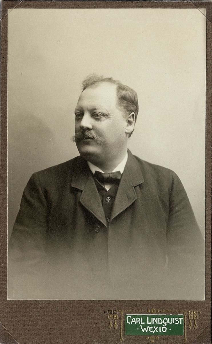 Porträttfoto av en man i kostym med väst och fluga.
Midjebild, halvprofil. Ateljéfoto, ca 1900.