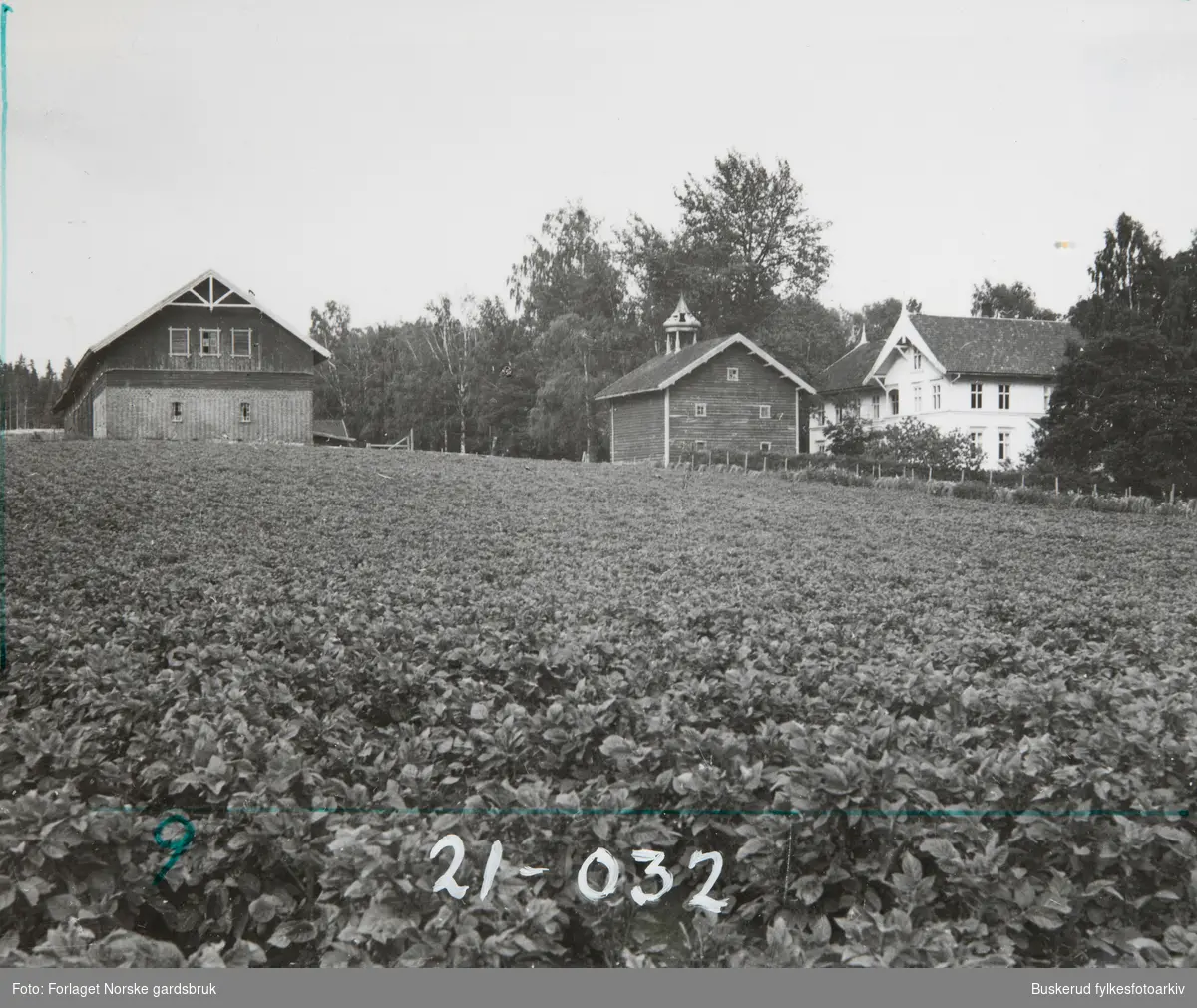 Vestre Hen gård 1944
Gnr 271, 274
Bnr 1,3, ,5
