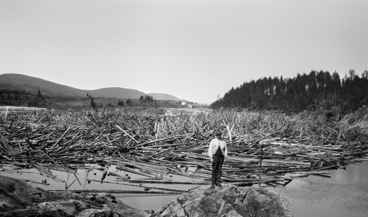 Fløtingsformann Edvard Lapstuen (1875-1950), fotografert framfor en stor tømmervase i Braskereidfossen i Våler i Hedmark. Fotografiet ble tatt i 1919. Haugen lå under fossestrykene, der trykket åpenbart hadde vært så stort at en del av stokkene hadde reist seg slik at de sprikte i mange retninger.