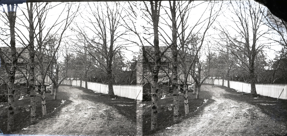 Berg gård, Kragerø. Baksiden av den gamle låven, eik allèn og stakittgjerde. (stereoskopisk dobbelbilde) 1840-60 ca.