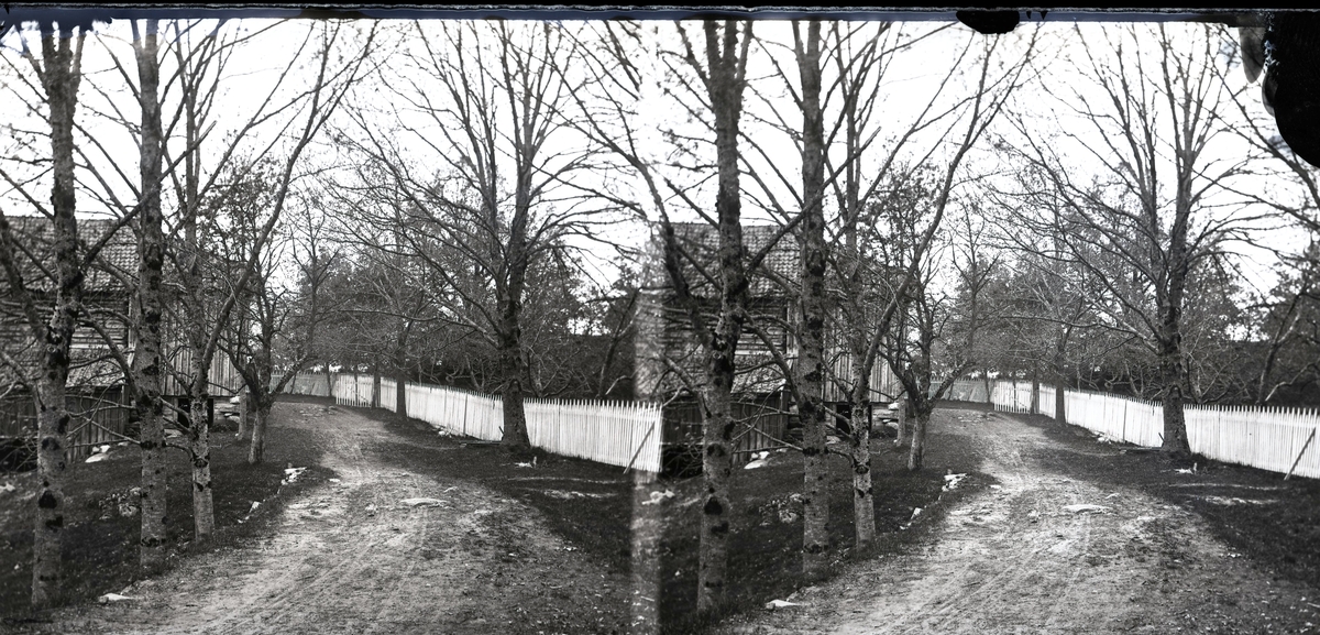 Berg gård, Kragerø. Den gamle låven, veien, stakittgjerde og eik alleén. ( stereoskopisk dobbelbilde ) 1840 - 60 ca.