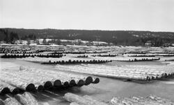 Tømmertillegging på Glomma i Elverum i 1928.  Fotografiet er