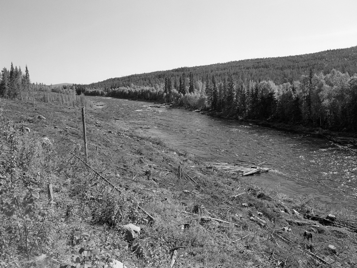 Elva Stor-Grøna i Trysil, Hedmark. Bildet er tatt i forbindelse med fløting, og viser tømmer i elva.