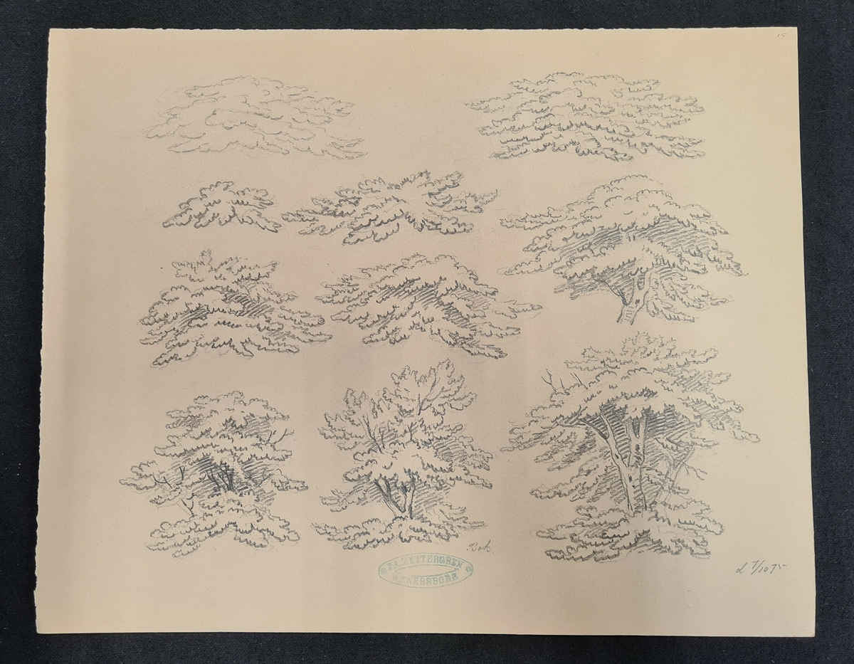 Teckning av F. A. Zettergren över ett träds grenverk, en bok.  Teckningen är stämplad med F. A. Zettergren Wenersborg. Den är även daterad till 1/10 1875.