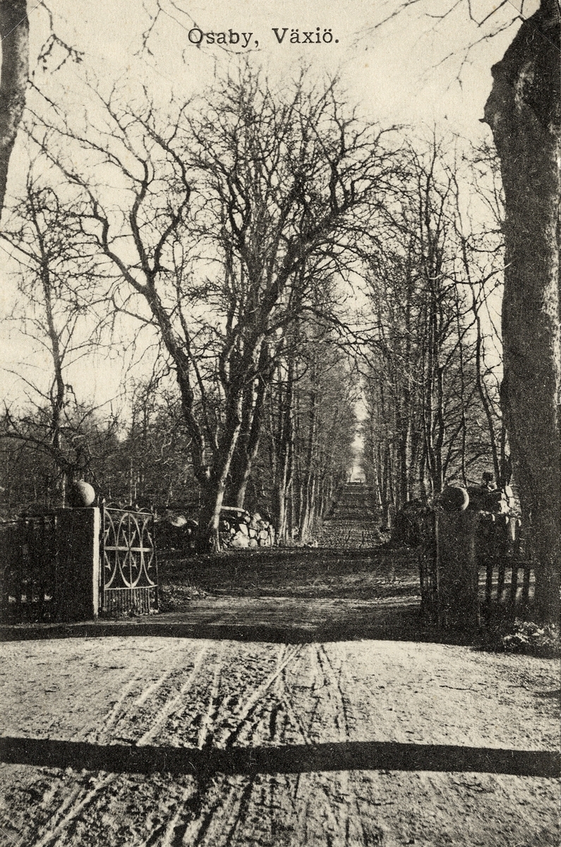 Foto av ett par stora järngrindar vid infarten till Osaby herrgård, Tävelsås. Ca 1905.