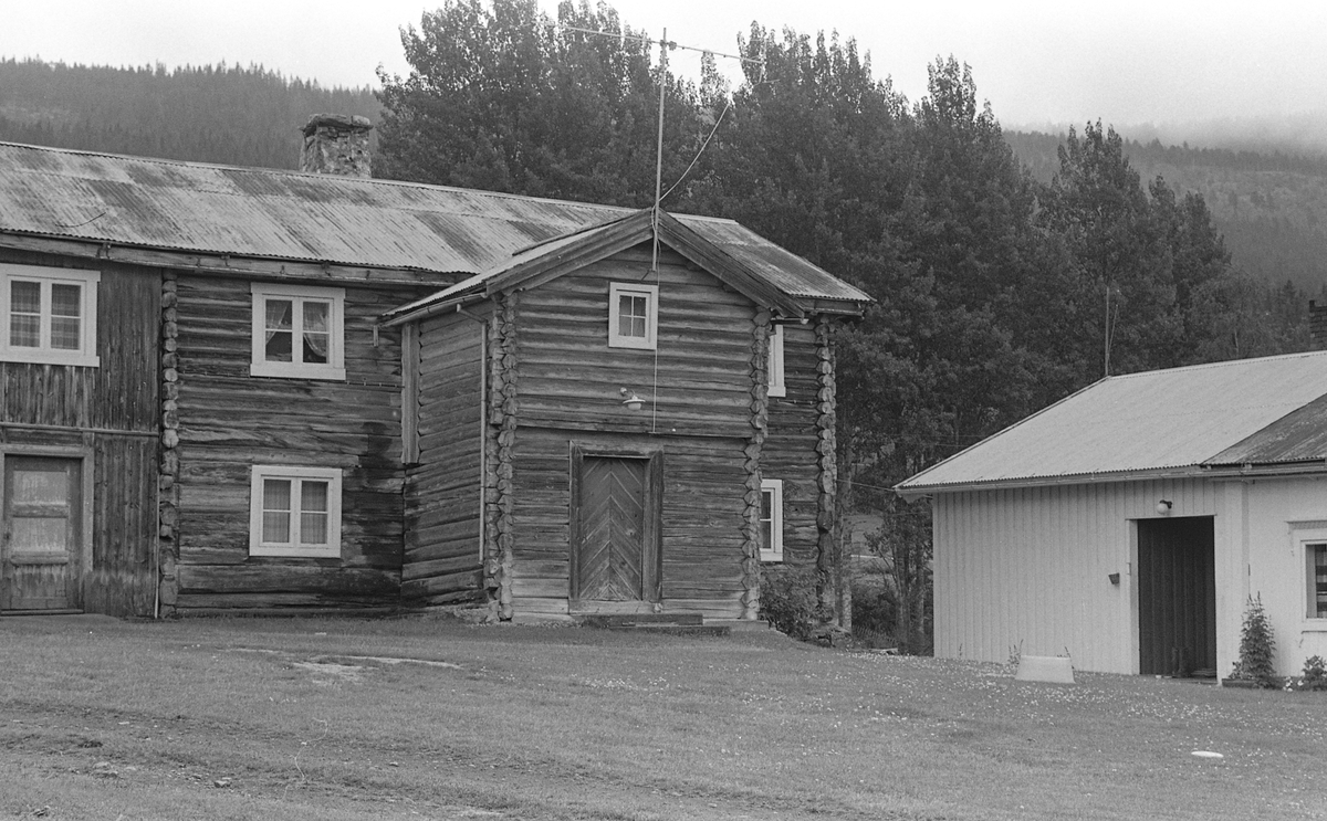 Barfrøstue, Løvhaugen, Undset; Øvre Rendal. Juli 1981