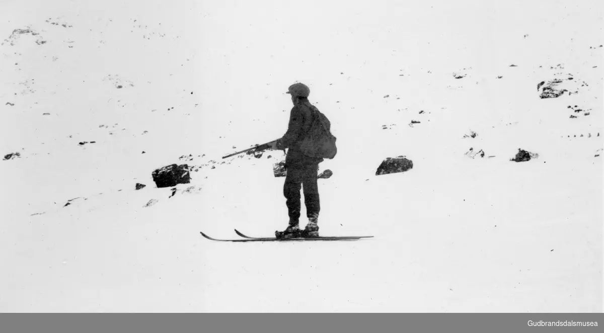 Sevald Grotli (f. 1901) skal på bjørnejakt