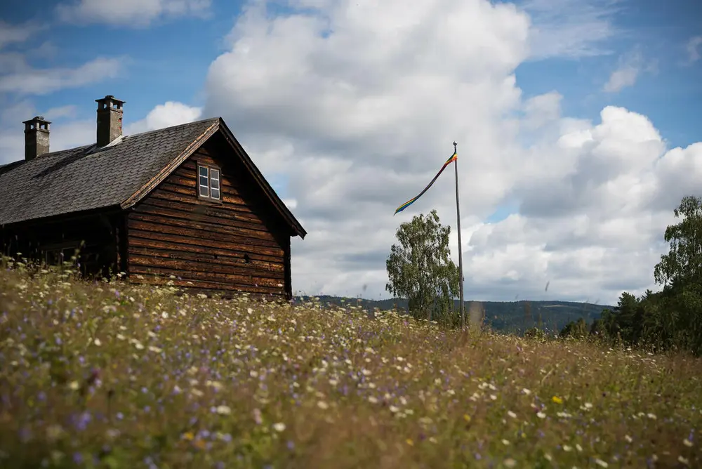 Regnbogeflagget vaiar over blomsterenga