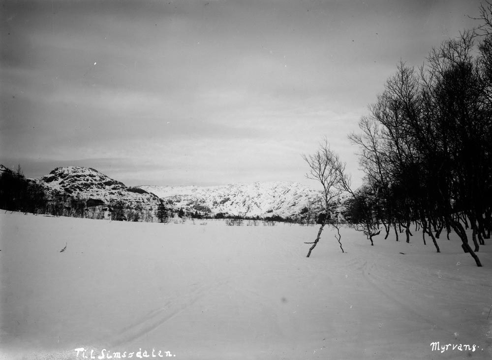 Leirfjord, Simsødalen. Vinterlandskap med skispor i Simsødalen.
