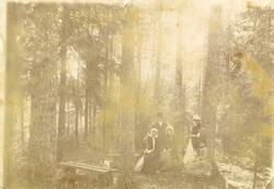 Tante Jette Homann, en mann og 3 kvinner på tur i Berg skoge