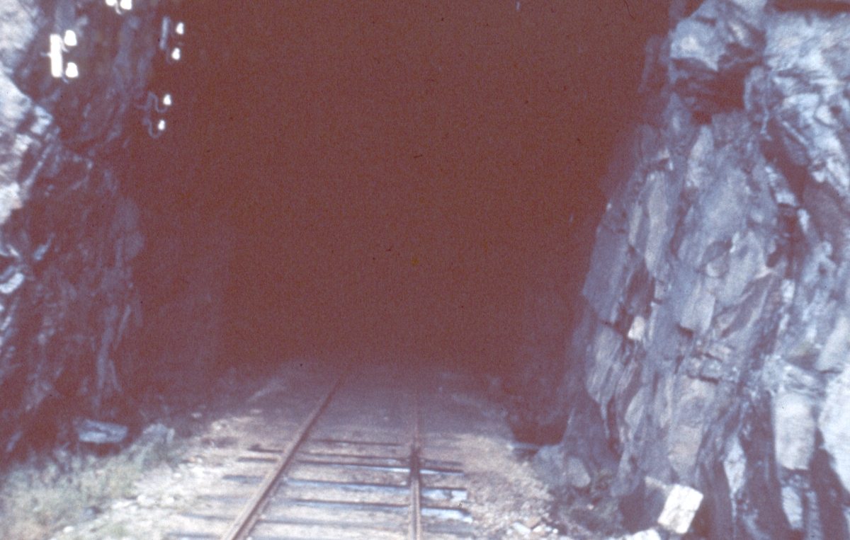 Setesdalsbanen. Nomeland tunnel. Nordre portal.