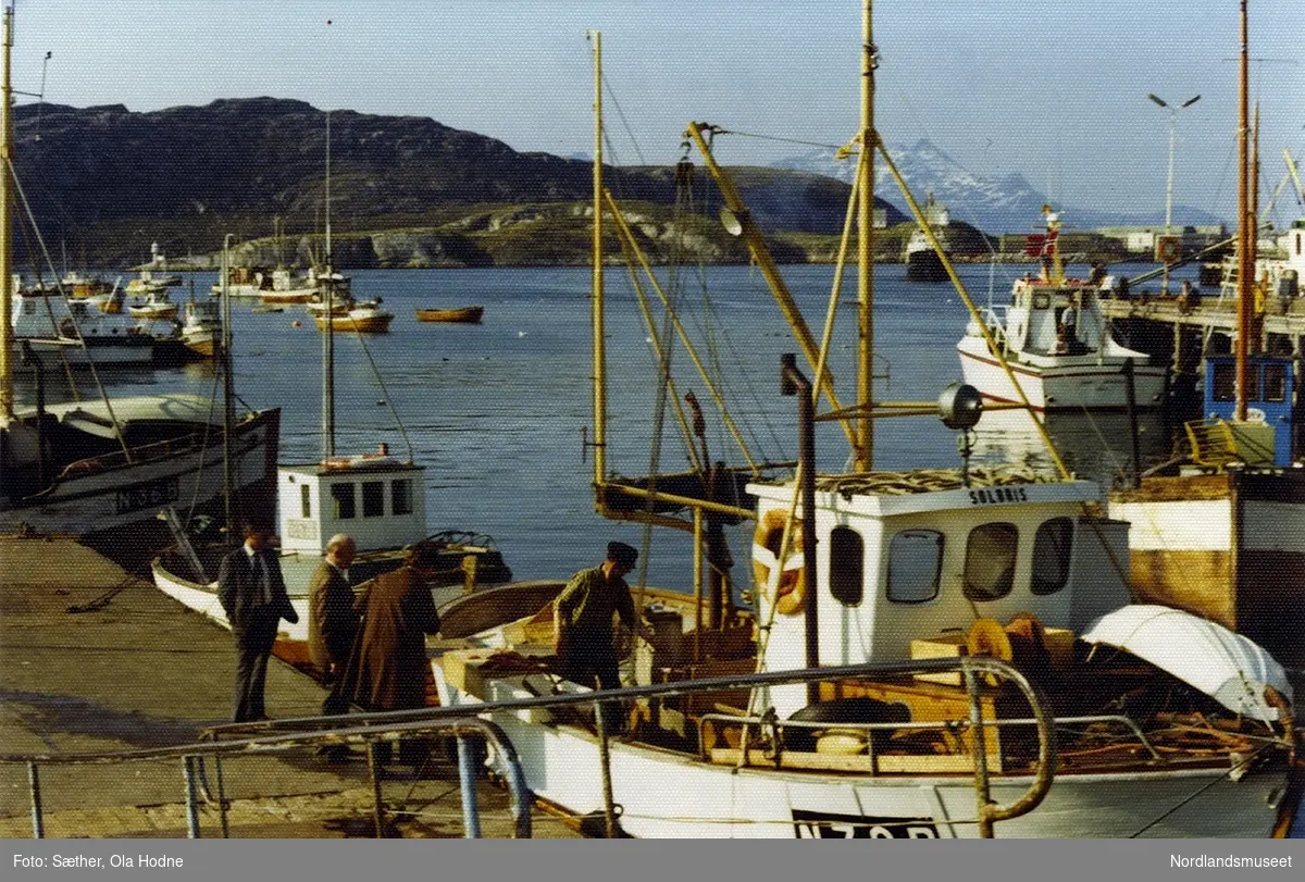 Småbåthavna i Bodø med fiskere og fiskebåter.