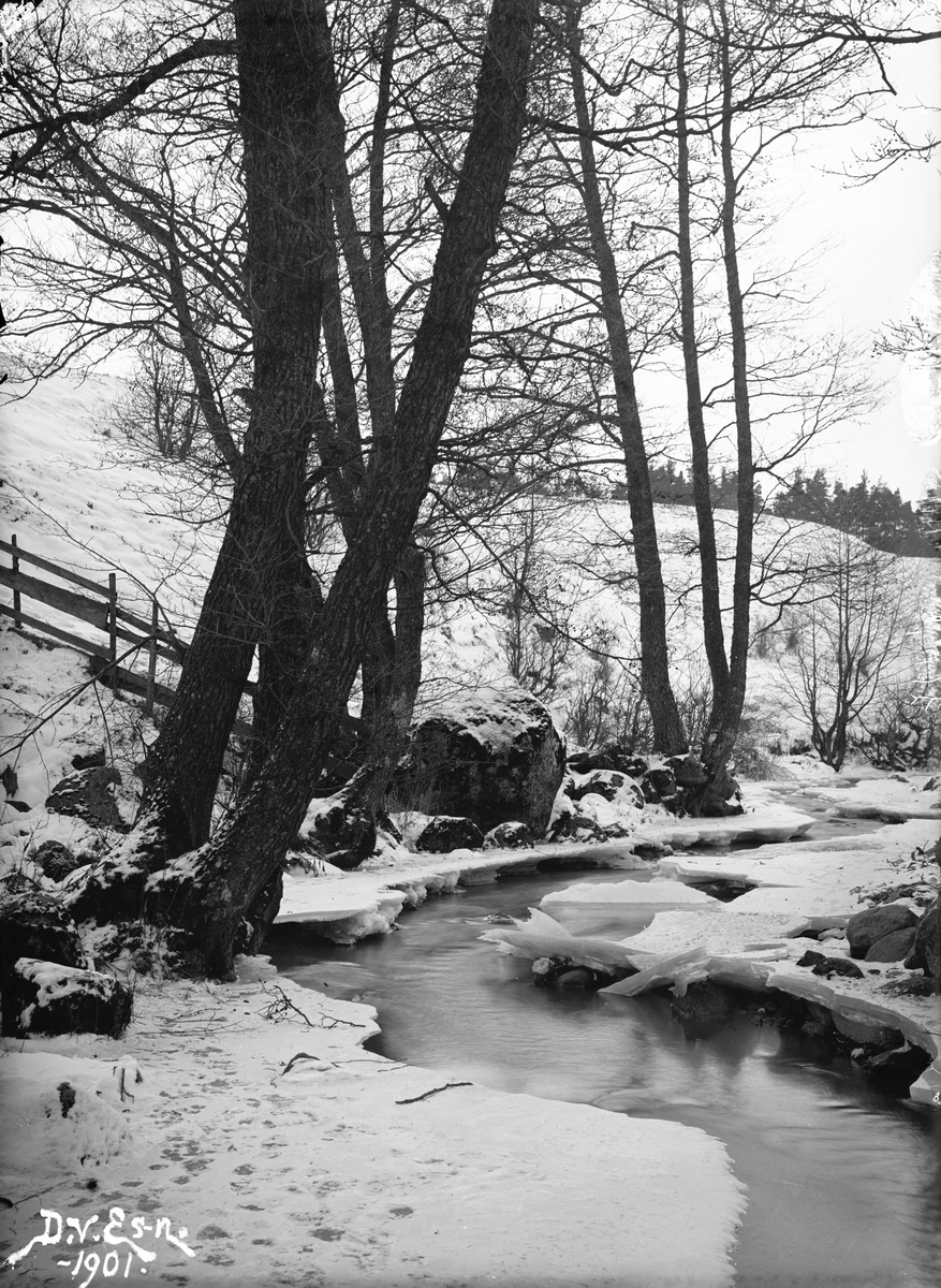 Tinnerbäcken i vinterskrud. Motiv som rimligtvis tagits som inspiration och förlaga för fotografens konstnärsskap som landskapsmålare. Den exakta platsen har inte lokaliserats.