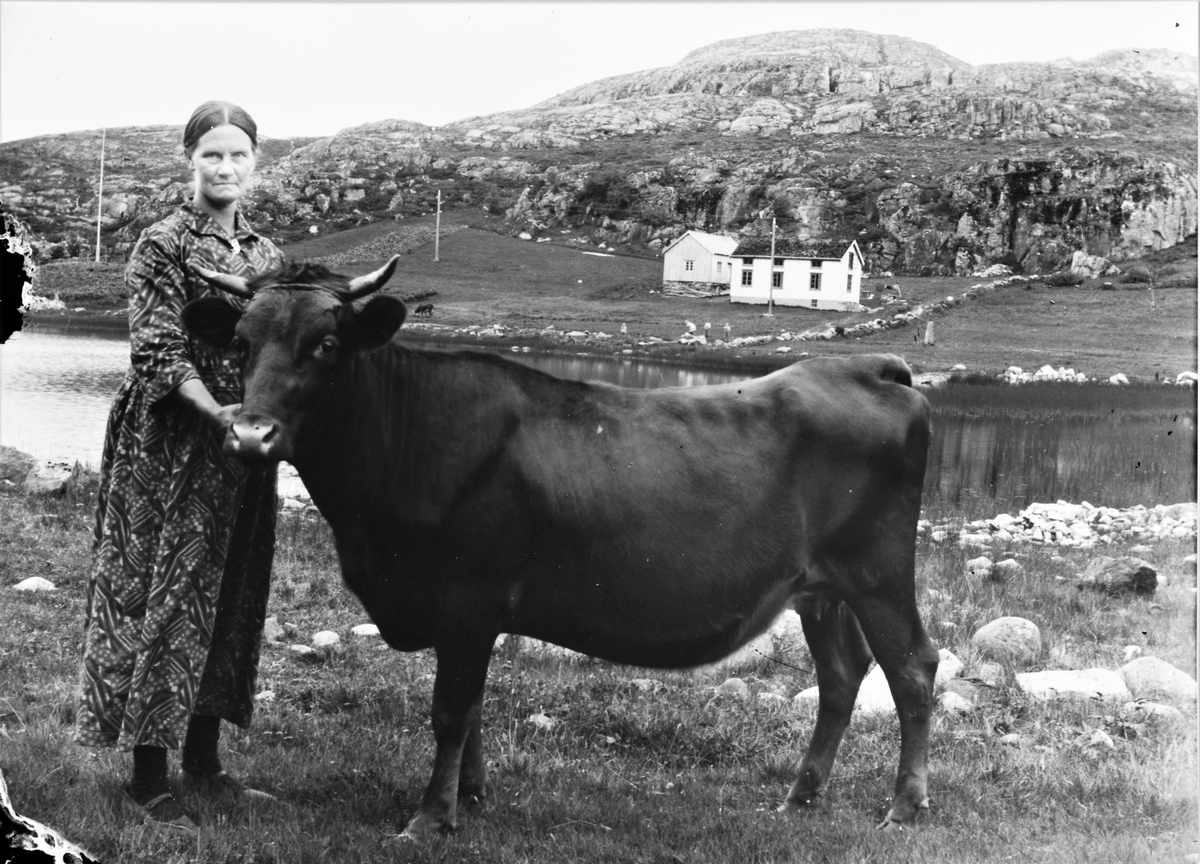 Grethe Rønning med kua, Asserøya, Jøssund