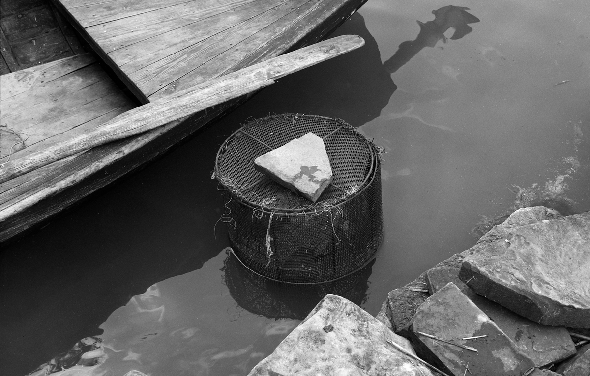 Sylindrisk nettngbeholder med lokk, om holdes på plass av en stein. Fotografiet er tatt i strandsona ved båttøa til yrkesfisker Paul Stensæter (1900-1982), som var yrkesfisker med base på østsida av Steinsfjorden, en sidearm til Tyrifjorden på Ringegrike. Nettingbeholderen inneholdt antakelg ørekyt (Phoxinus phoxinus), en liten karpefisk Stensæter fanget for å bruke om agn på reiven som han fisket abbor (Perca fluviatilis) med i sommersesongen. 

Åsmund Eknæs fra Norsk Skogbruksmuseum intervjuet Paul Stensæter i 1973 og 1974. Det fiskeren fortalte om reivfisket og bruken av «kime» som agn i Steinsfjorden sammenfattet Eknæs slik:

«Det kanskje mest effektive redskap på abboren var reiven. Når to stykker fisket sammen var det mulig å ha abborreiv med opptil 1 000 kroker. Disse hang i ca. 30 cm lange tamser med 2 favners mellomrom. Vi fikk altså her ei line på omkring 4 kilometers lengde! Reiven ble ikke satt på samme sted to dager i trekk. De satte den «bassenget rundt», dvs. at de fulgte en bestemt rutine for å få fisket rundt hele fjorden.

Da Paul gikk over til å fiske aleine nøyde han seg med 600 kroker. Agn var, så lenge det var lovlig, levende ørekyte, «kimer», Kima hadde han gående i en vannstamp med et klede over. Kledet hang litt ned i vannet slik at det ble en liten dam på oversida. Oppi her tok han en neve kime etter hvert som han trengte det. Reiven ble oppbevart i ei kasse med slinner langs kantene til feste for krokene. Paul greide å egne og kaste uti ca. 100 kroker på et kvarter. Da måtte han også få båten framover etter hvert som reiven ble satt ut.»