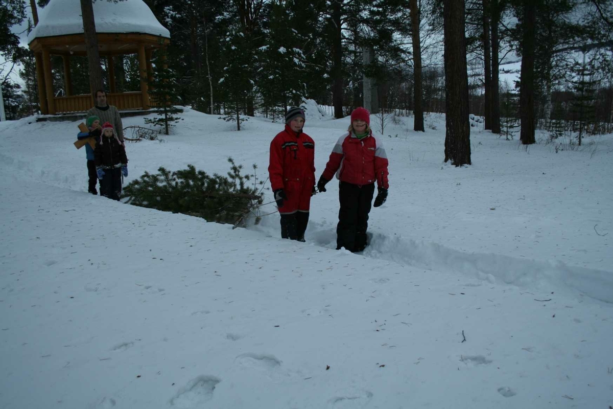 Jul på gamlemåten i Museumsparken 2008. Hente juletre. 