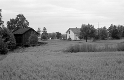 Gårdsbruket til yrkesfisker Paul Stensæter (1900-1982), Bjer