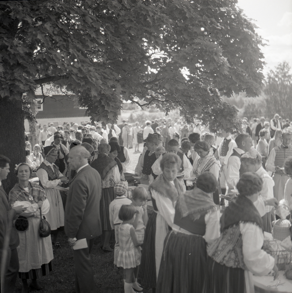 En grupp kvinnor klädda i hembygdsdräkt står i skuggan under ett träd och serverar fika till dansare och publik, hälsingehambon  Hårga - Järvsö 1967.