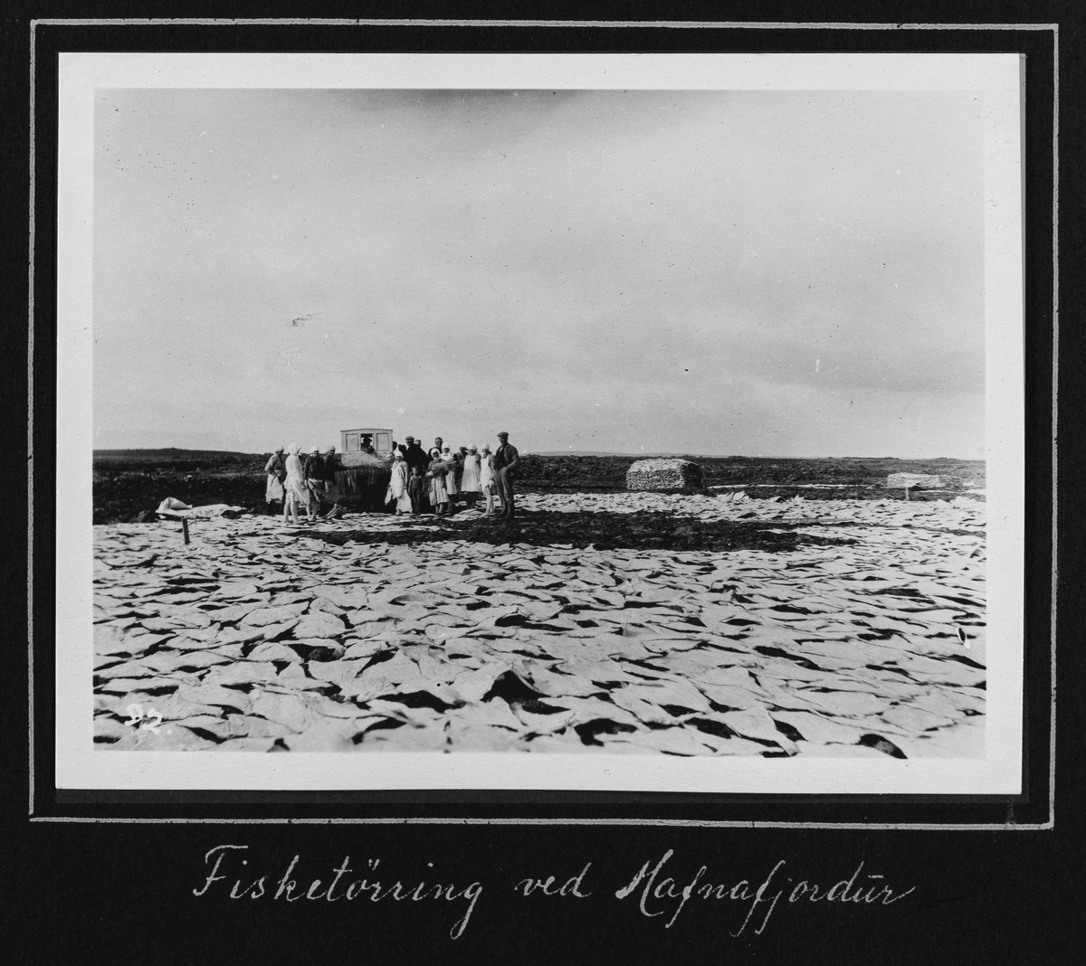 Fra 1000 årsfesten for Alltinget på Island i 1930. Fisketørring ved Hafnafjordur.