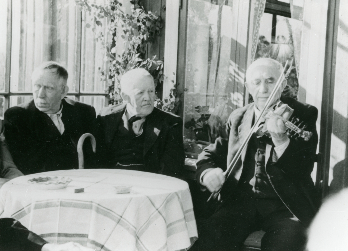 Frå v. Tor Sisjord, Svein Skogen og Torkjel Haugerud som spelar hardingfele.  Dette var under 80-årsdagen til Halvor Kleppen i 1953.