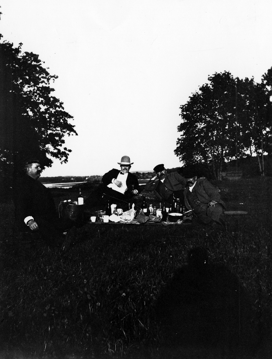 Alfred Hedén, Albert Andersson, Emil Sandberg och Alfred Larsson har picknick nära Mjörn.