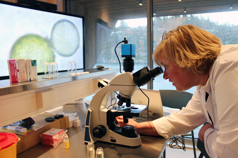 Marianne Lindgren kikker i mikroskopet på forskerskulen Taremare på Kystmuseet i Øygarden.