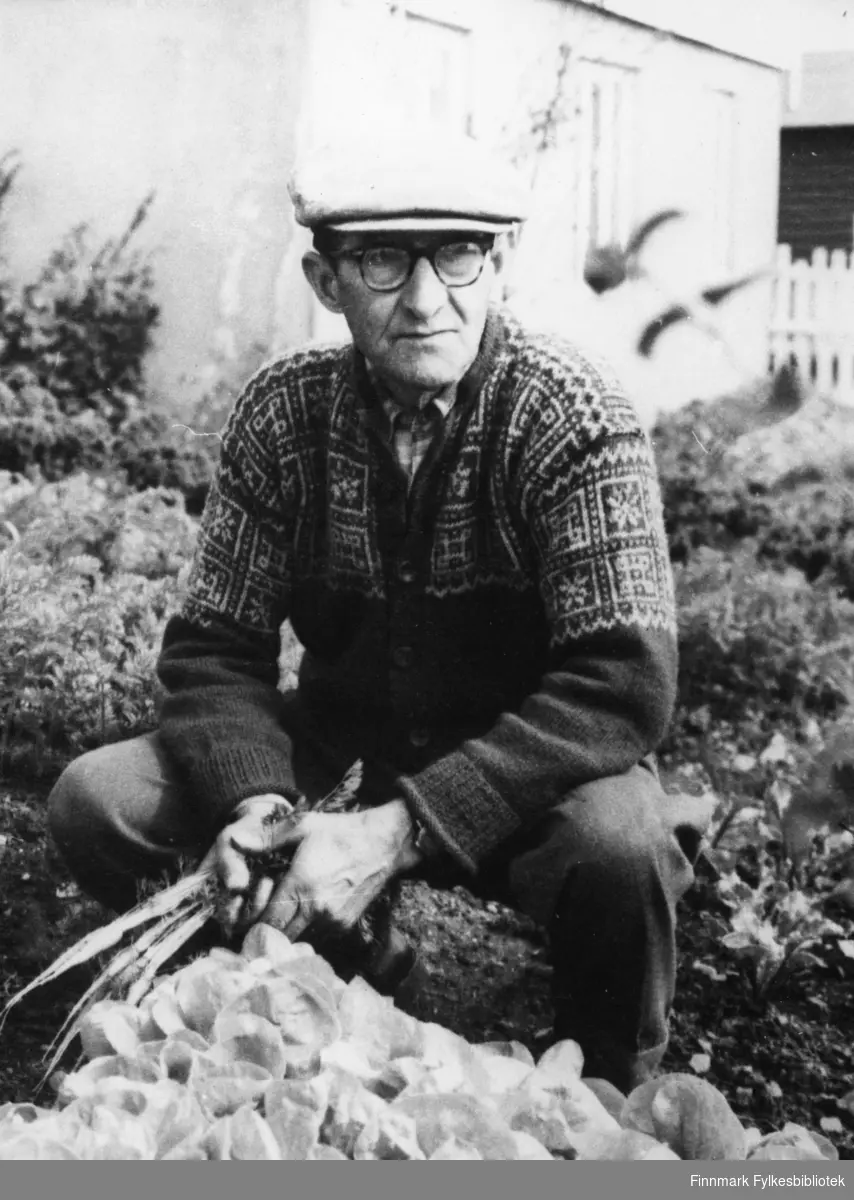 Pensjonist Wilhelm Kling sitte i grønnsakshagen i Vadsø. Han har vært og hentet noen gulrøtter.