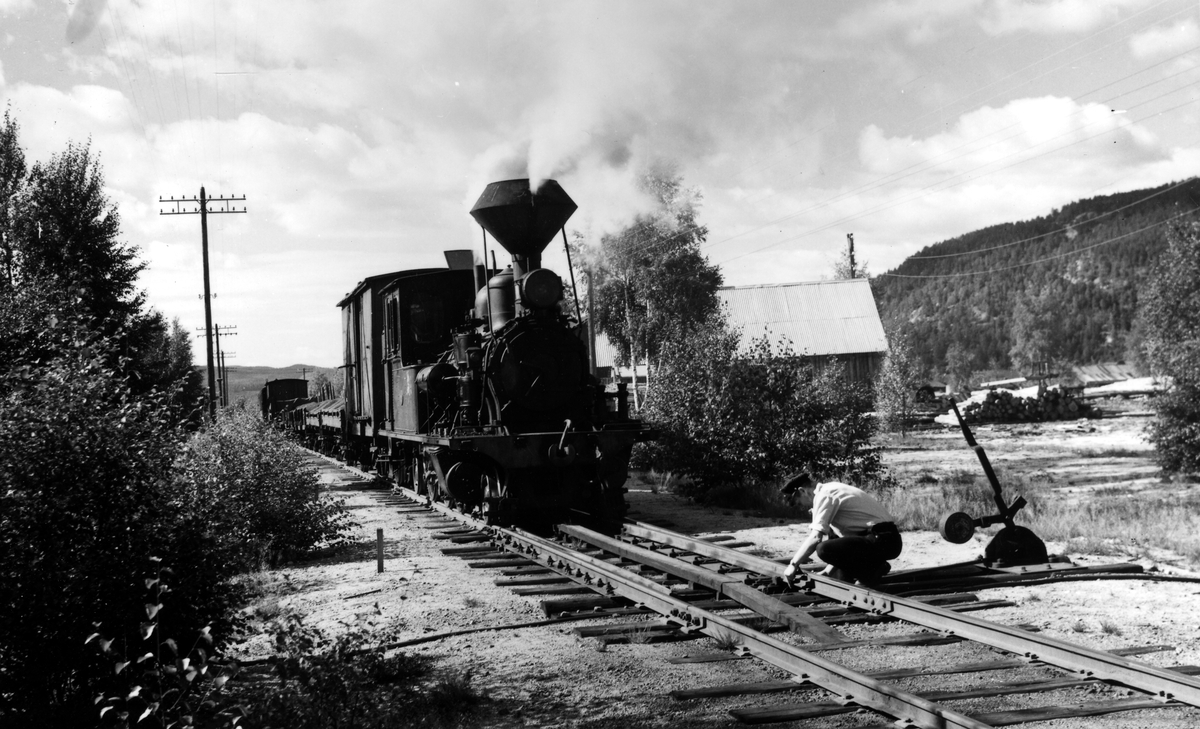 Setesdalsbanen. Godstog og lok nr. 2 ved Evje. August 1958. Bildet er tatt ved sidesporet inn til A/S Evje Raffineringsverk.