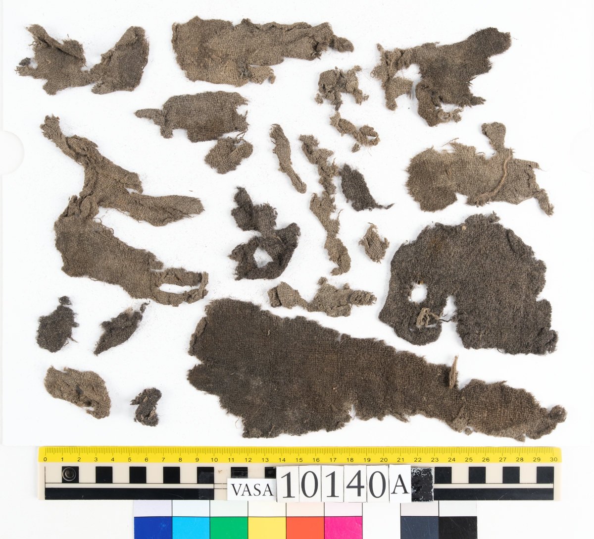 I styrplikten på styrbord sida i skeppet hittades mänskliga kvarlevor från "skelett F", även kallad Filip. I samband med skelettet hittades bland annat textilfynden 10140 och 10144 (tröja). Fyndnummer 10140 består av omkring 64 textilfragment av fyra olika tyger och ett mindre läderfragment fördelade i fyra askar (a-d). Samtliga textilier i fyndet är så pass fragmentariska att det inte i dagsläget går att avgöra vad det ursprungligen har varit. Däribland omkring 40 fragment av ull vävt i tuskaft där endast ett eller två fragment har spår av tillskärning och sömmar (10140a-b). Fyndet innehåller även små fragment av bastfibertråd och en textil där endast ena trådsystemet är bevarat där det är troligt att trådsystemet som idag är borta tidigare har bestått av bastfiber (10140b). I ask 10140c finns ett band av ull och silke vävt i tuskaft. Bandet är ca 22 mm. brett och 365 mm. långt och har flera runda rödorangea metallavtryck liknande de som finns på tröjfragmenten i fnr 10144.

För mer detaljerad information från textildokumentationen (år 2023) se länkade filer.