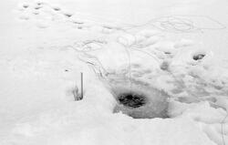 Hull i den snødekte isen på Steinsfjorden, en sidearm til Ty