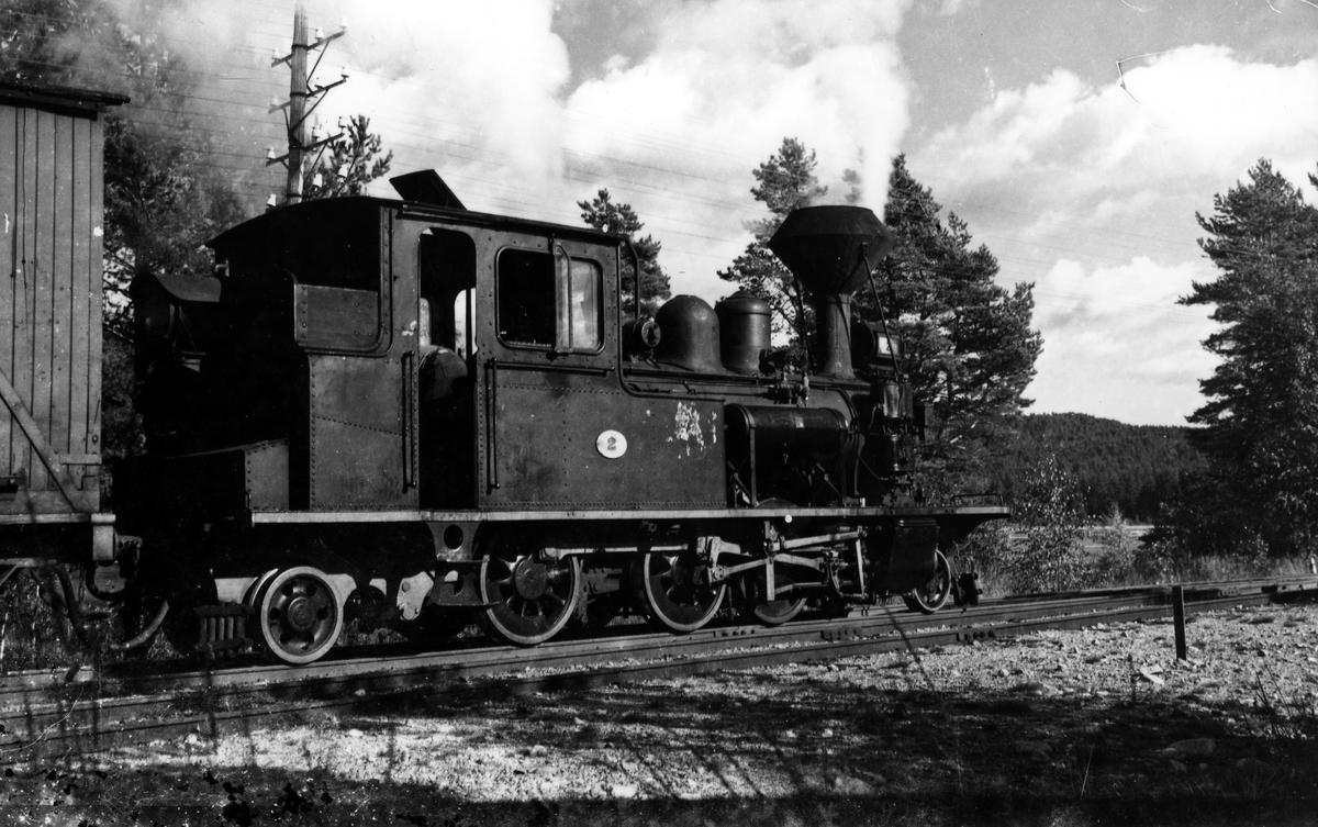 Setesdalsbanen. Godstog ved Hornesund holdeplass. Lok nr. 2.  August 1958.