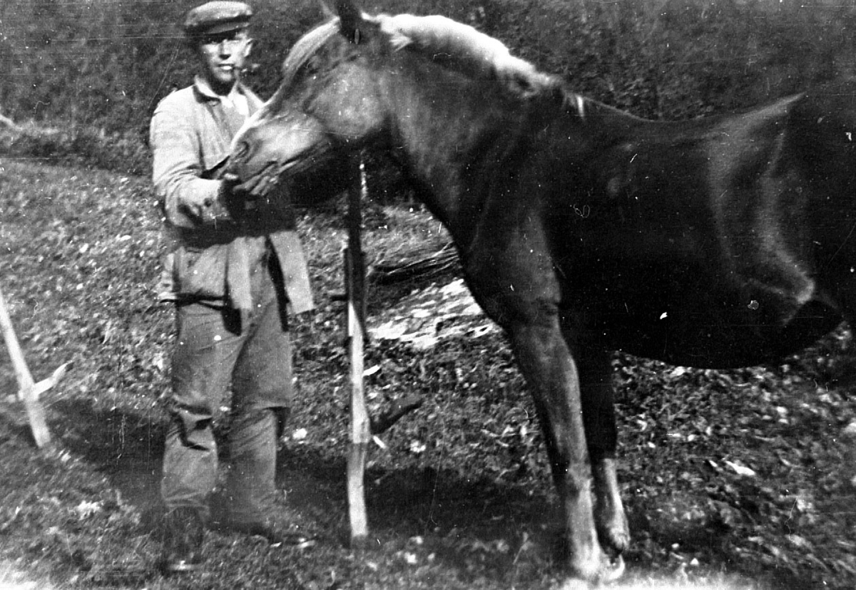 Ragnvald Øvergård med  hesten Tullise