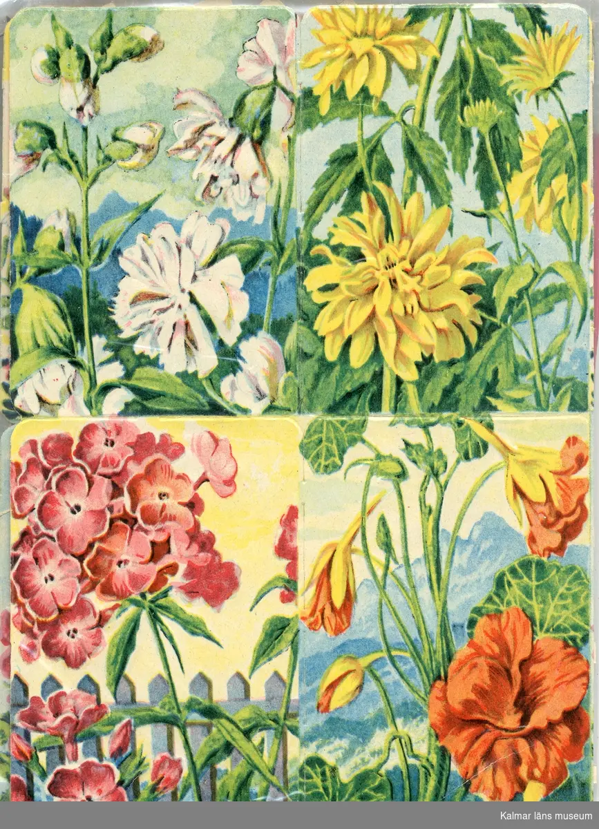 Fyra olika sorters blommor.