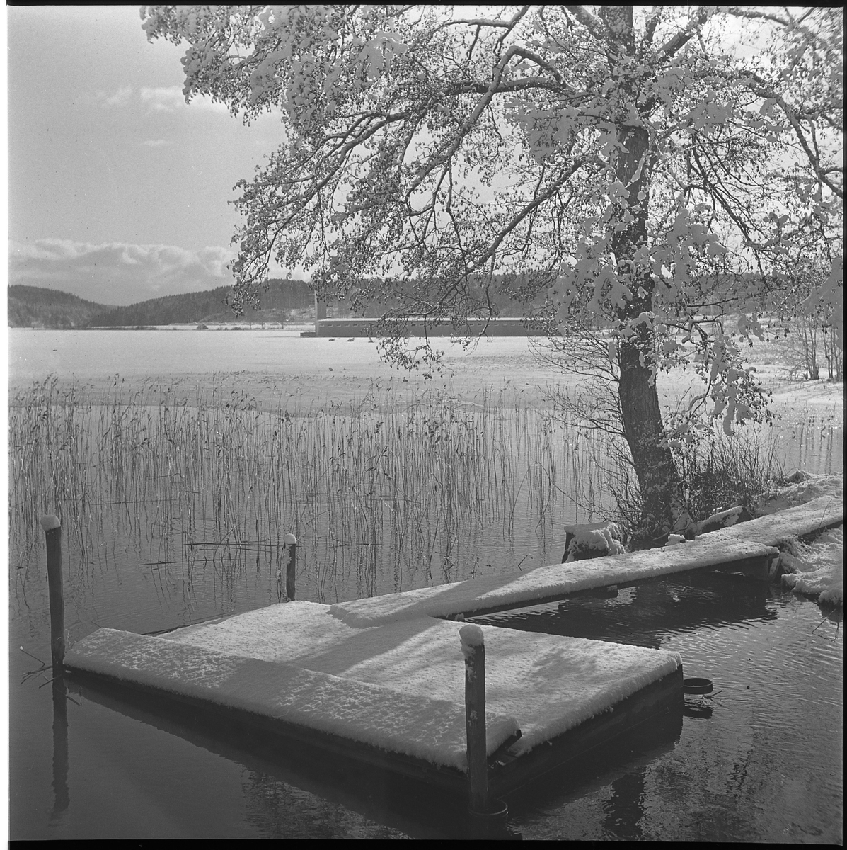 Snötäkt brygga i sjön Gerdsken, jan/febr 1950. I bakgrunden skymtar kallbadhuset.