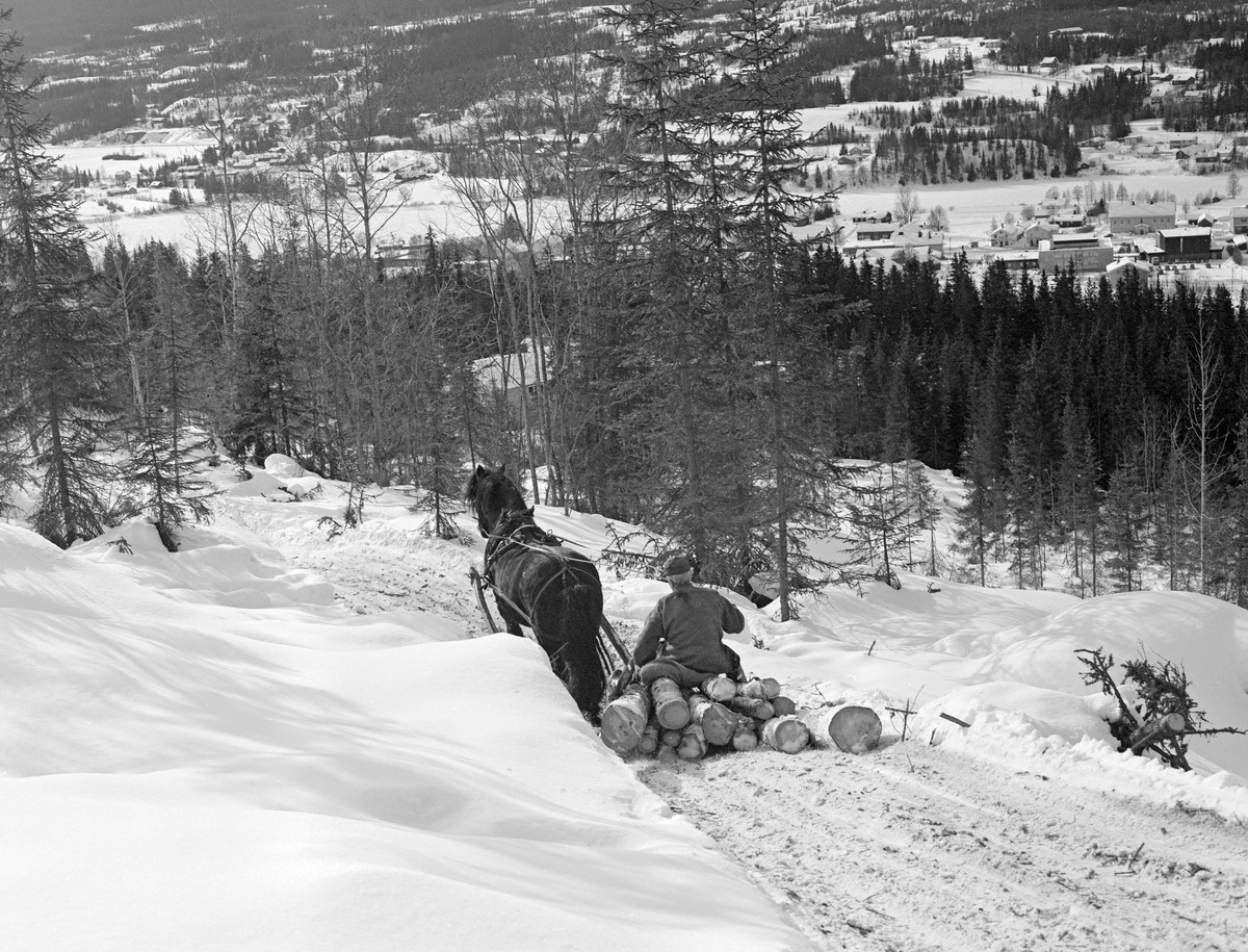 Tømmerkjøring med hest i Lundberget i Trysil, Hedmark. Innbygda i bakgrunnen. Kjører er Kåre Bratteggen.