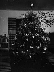 Ferdigpyntet juletre ca 1956