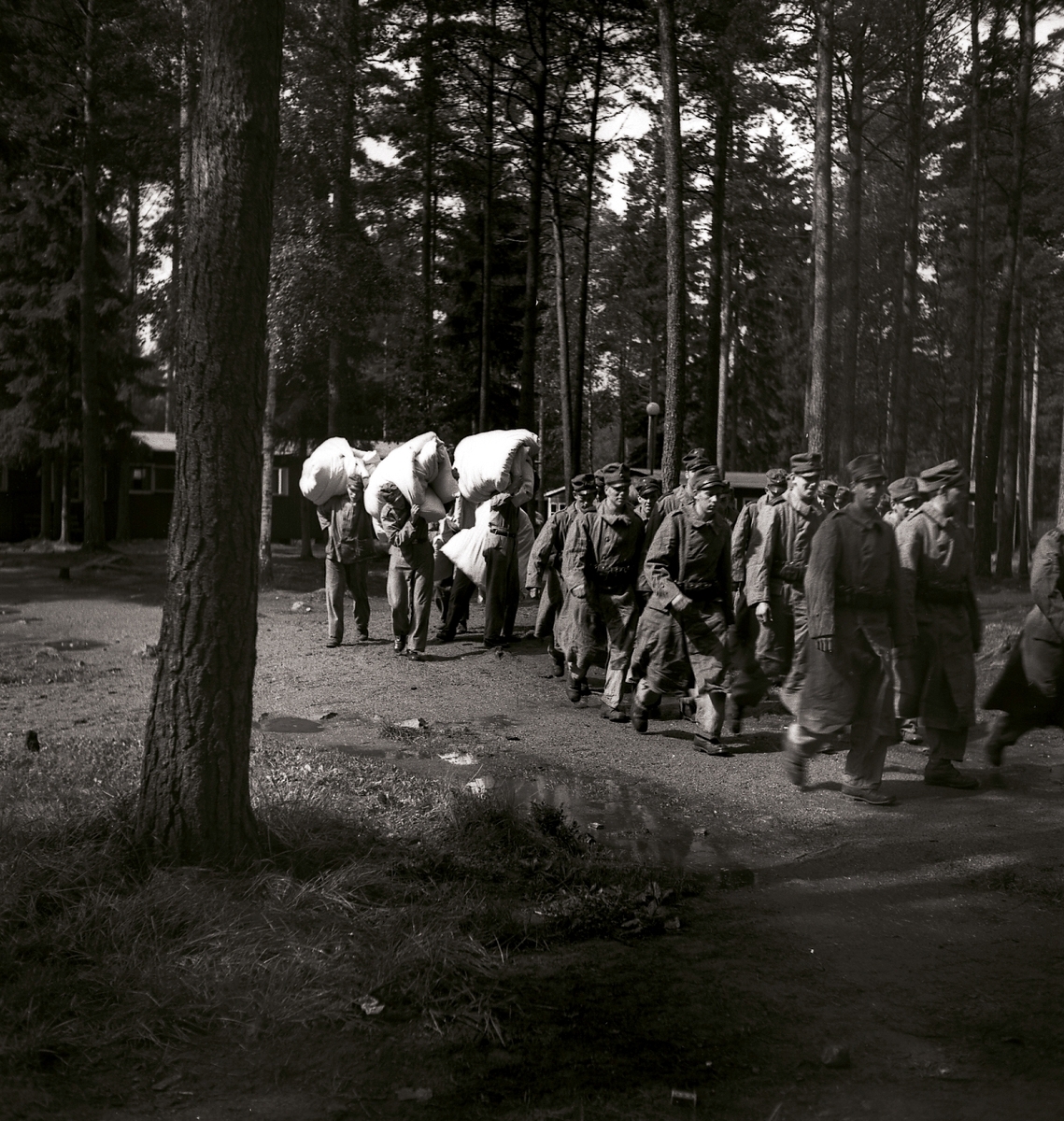 Ett antal män på marsch i skogen.