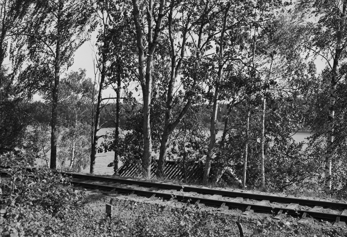 Järnvägsspår genom skog i närheten av Marielund
