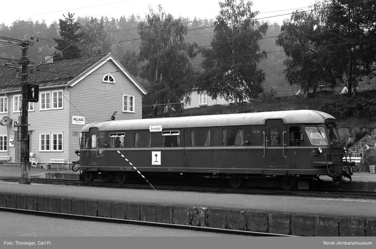 Dieselmotorvogn BM 87 08 på Nelaug stasjon