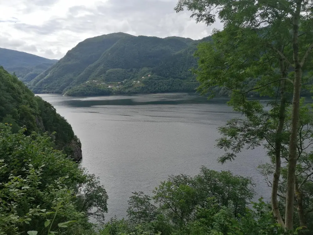 utsikten over Sørfjorden, fra lauvenga i Bergjet