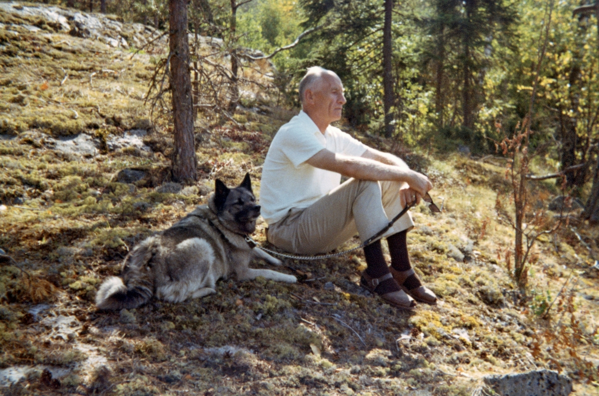 Skogforvalter Helge Ribsskog, sittende på mosegrodd bergflate med småskog i bakgrunnen.  Ribsskog er iført lys T-skjorte, grå bukser og sandaler, og han har elghunden sin med seg. 