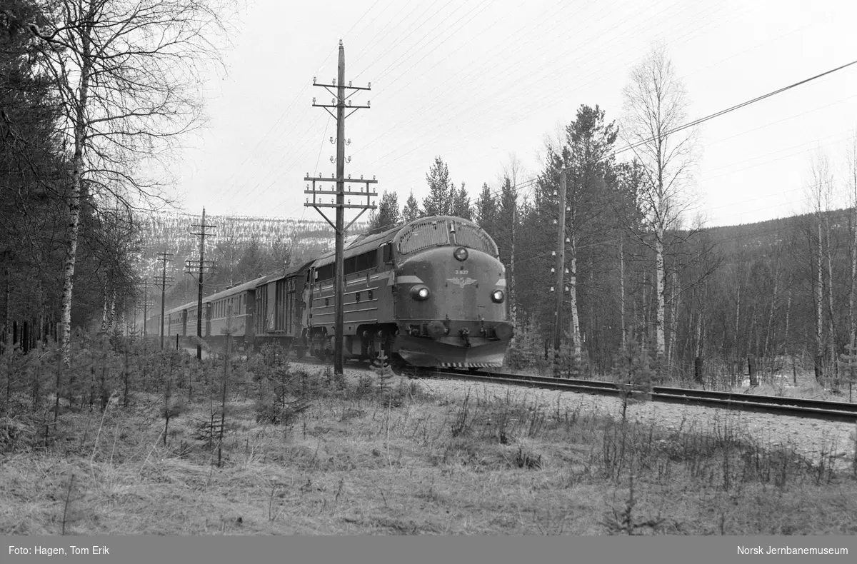 Diesellokomotiv Di 3 627 med dagtoget fra Oslo Ø til Trondheim, tog 301. mellom Barkald og Alvdal stasjoner på Rørosbanen