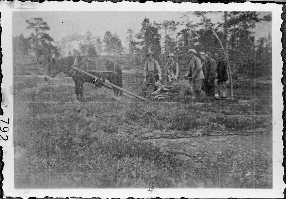 Elgjakt ved Hellerudhaugen i Sigdal, 1938. Fra venstre: Hesten "Tveitbrun", Hans Østby, Nils H. Lien, Bjørn Haga, Konrad Bye, Helge Lien, Nils Stubberud med innmatsekk på ryggen. 
