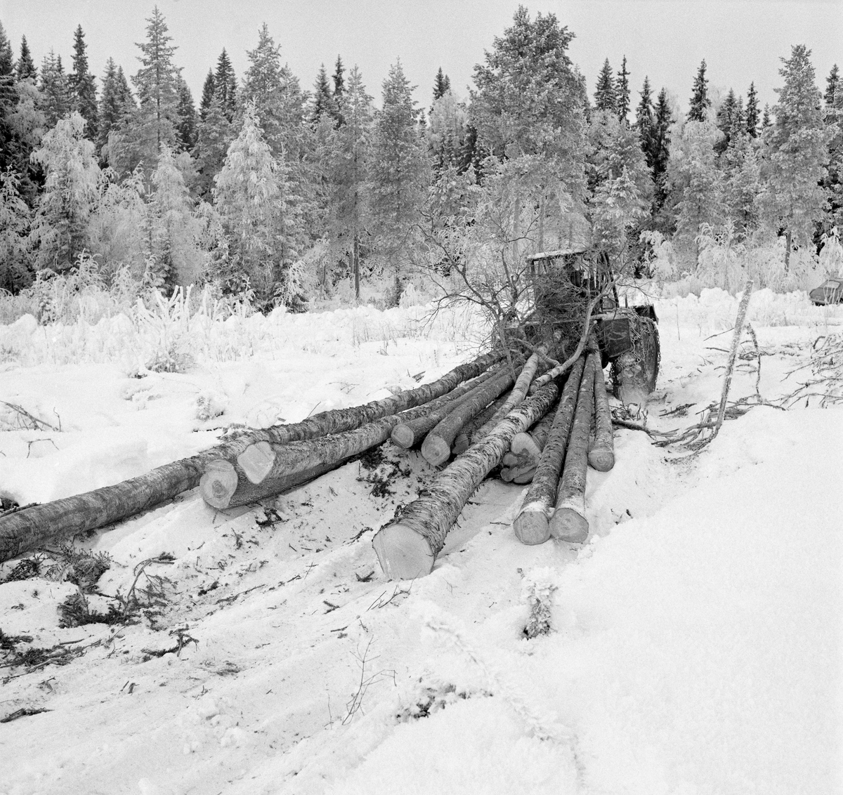 Lunning av tømmer på snødekt mark i Trysil, Hedmark, vinteren 1971. Tømmeret snarekjøres bak en traktor med vinsj og lunnepanne. Lunnepanna er en stålskjerm som er montert bak på traktoren for å skjerme og beskytte. Den kan heves og senkes ved hjelp av traktorens hydraulikk. I lav stilling gir denne lunnepanna god forankring under innvinsjing, og den kan også fungere som sperre dersom traktoren skulle steile ved ujevnheter i terrenget. Stokkene - som her var av både gran og bjørk - ble stroppet med ståtau og trukket mot lunnepanna ved hjelp av en vinsj. En av bjørkestammene var fortsatt ukvistet. Denne snarekjøringsteknikken var forholdsvis effektiv - både på- og avlessinga gikk raskt unna, og arbeidet kunne gjøres ved hjelp av en vanlig landbrukstraktor - en maskin de fleste skogeiere disponerte.